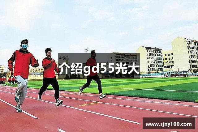 介绍gd55光大